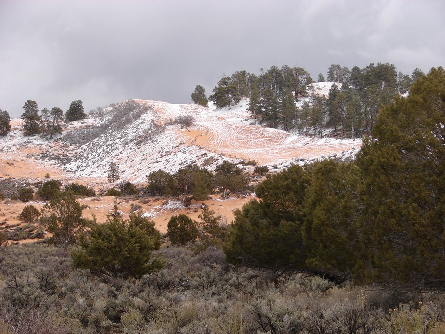 coral pink dunes (4).JPG